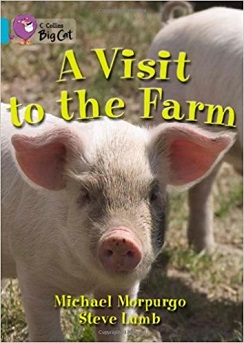 Big Cat Visit To Farm Workbook PB