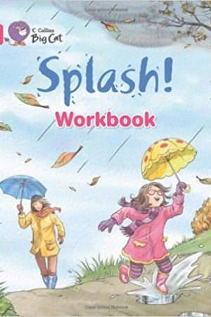 Big Cat Splash Workbook PB