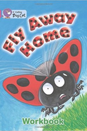 Big Cat Fly Away Home Workbook PB