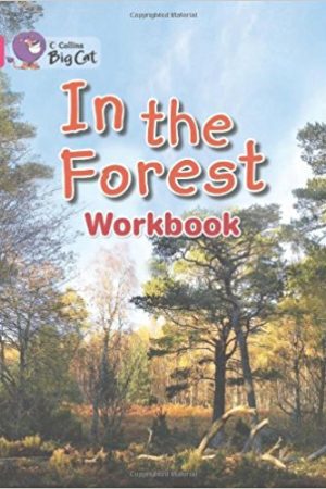 Big Cat In The Forest Workbook PB