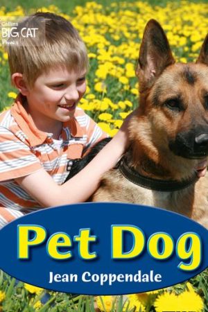 Pet Dog