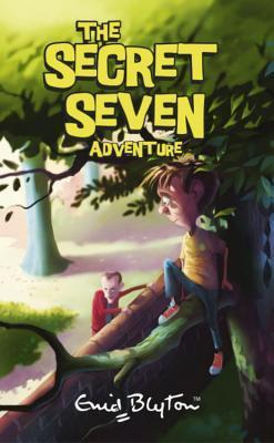 Secret Seven: 02: Secret Seven Adventure