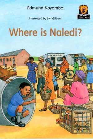 Where is Naledi?