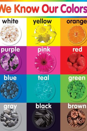 Colors Chart