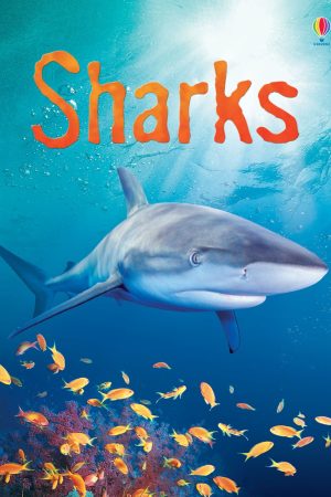 Sharks (USBORNE)