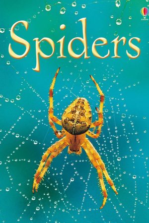 Spiders