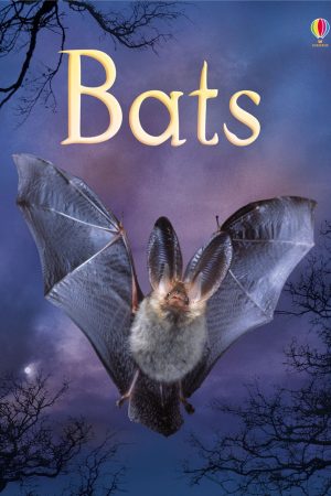 Bats
