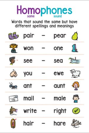 Anchor Chart: Homophones