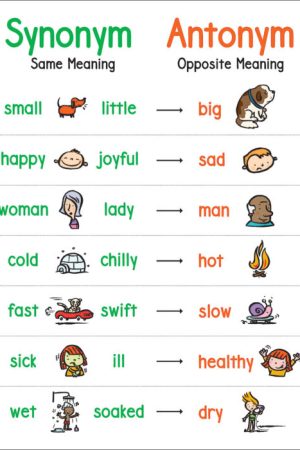 Anchor Chart: Synonym & Antonym