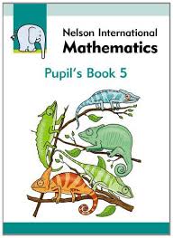 Nelson International Maths Pupils Book 5
