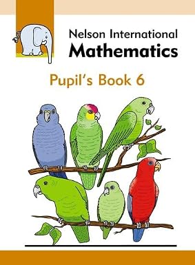 Nelson International Maths Pupils Book 6