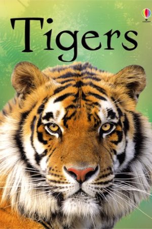 Tigers