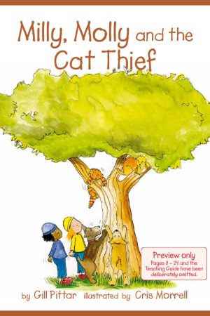 Milly Molly and the Cat Thief