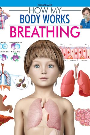 Breathing (How My Body Works)