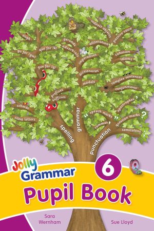 Grammar 6 Pupil Book