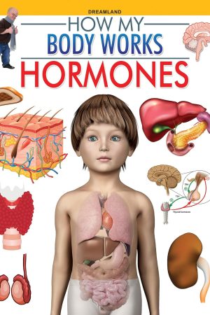 Hormones (How My Body Works)