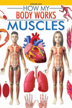 Muscles (How My Body Works)