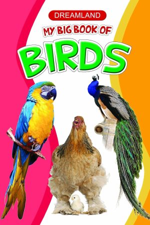 My Big Book of Birds