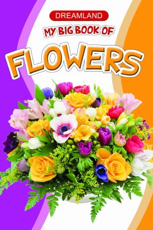 My Big Book of Flowers