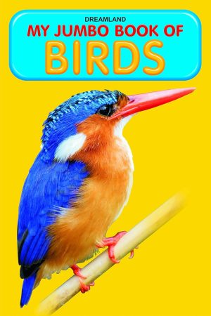 My Jumbo Book - BIRDS