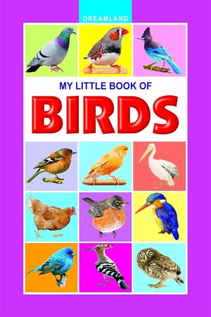 My Little Book - Birds