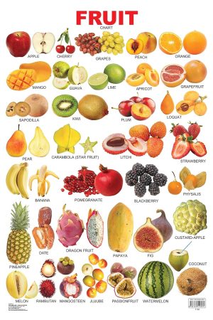 My Little Book - Fruits