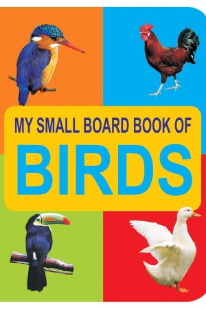My Small Board Books - Bird