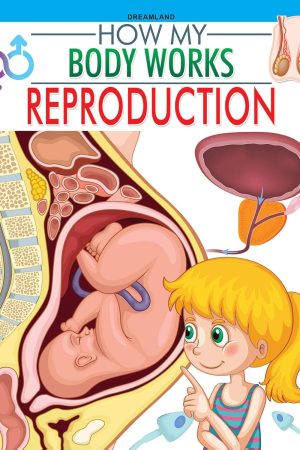 Reproduction (How My Body Works)