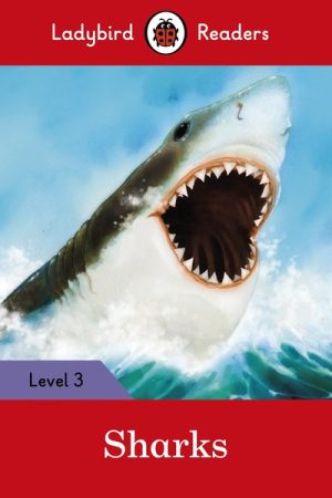 Sharks (LADYBIRD & PENGUIN)