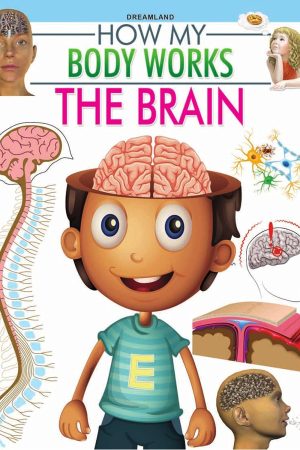 The Brain (How My Body Works)
