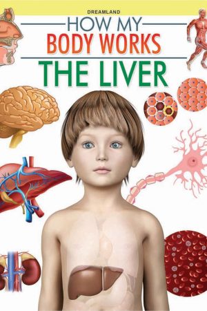 The Liver (How My Body Works)