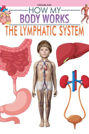 The Lymphatic System (How My Body Works)