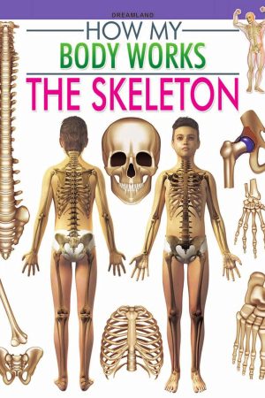 The Skeleton (How My Body Works)