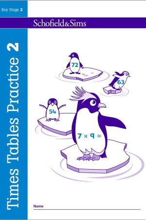 Times Tables Practice Book 2